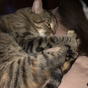 Meet your Posher, Eva